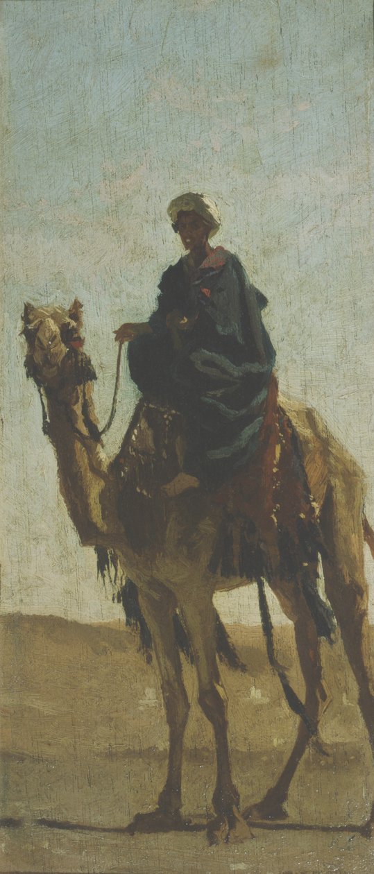Camelo-motoristas no deserto de Cesare Biseo