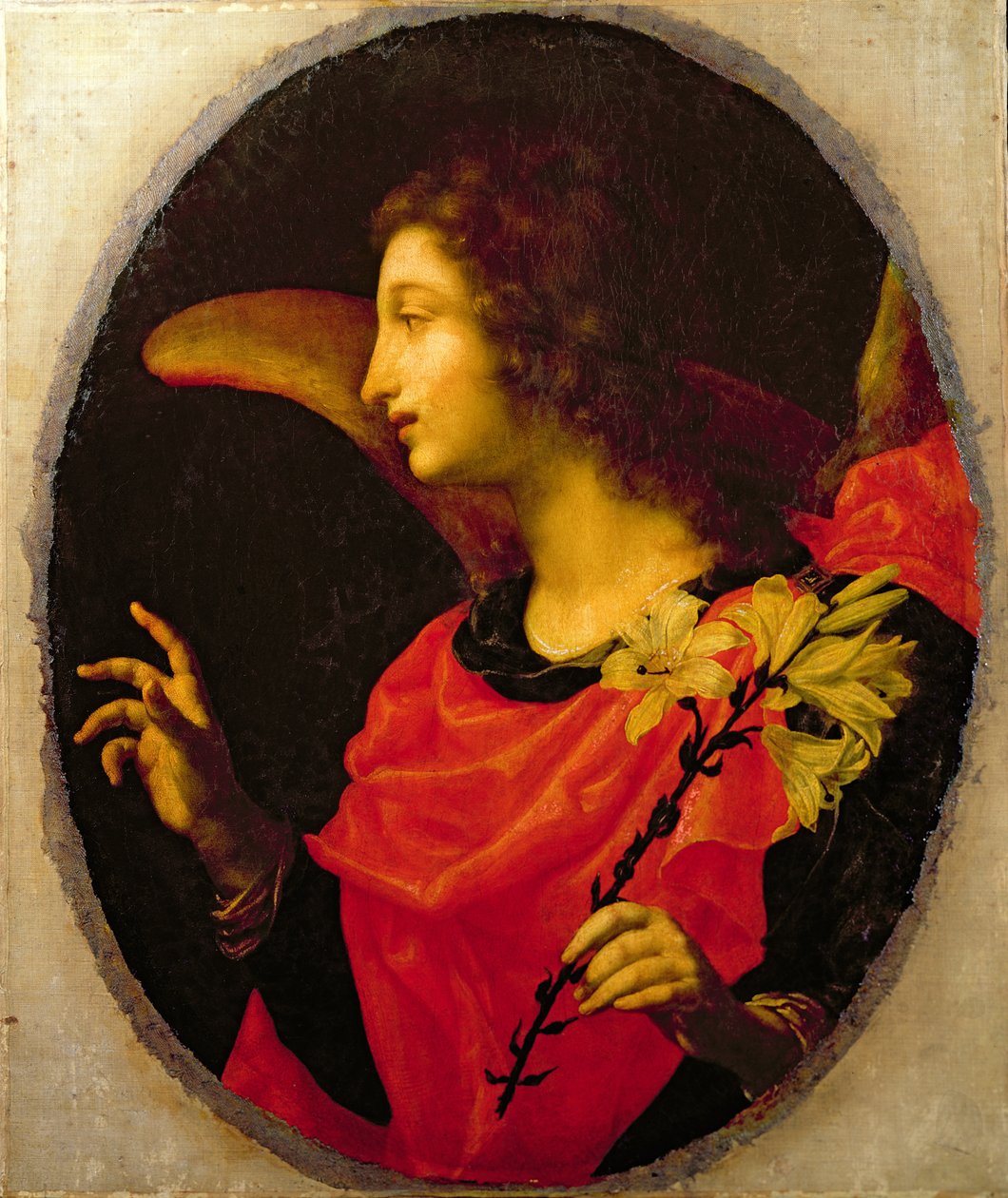 Anuncie Anjo de Cesare Dandini