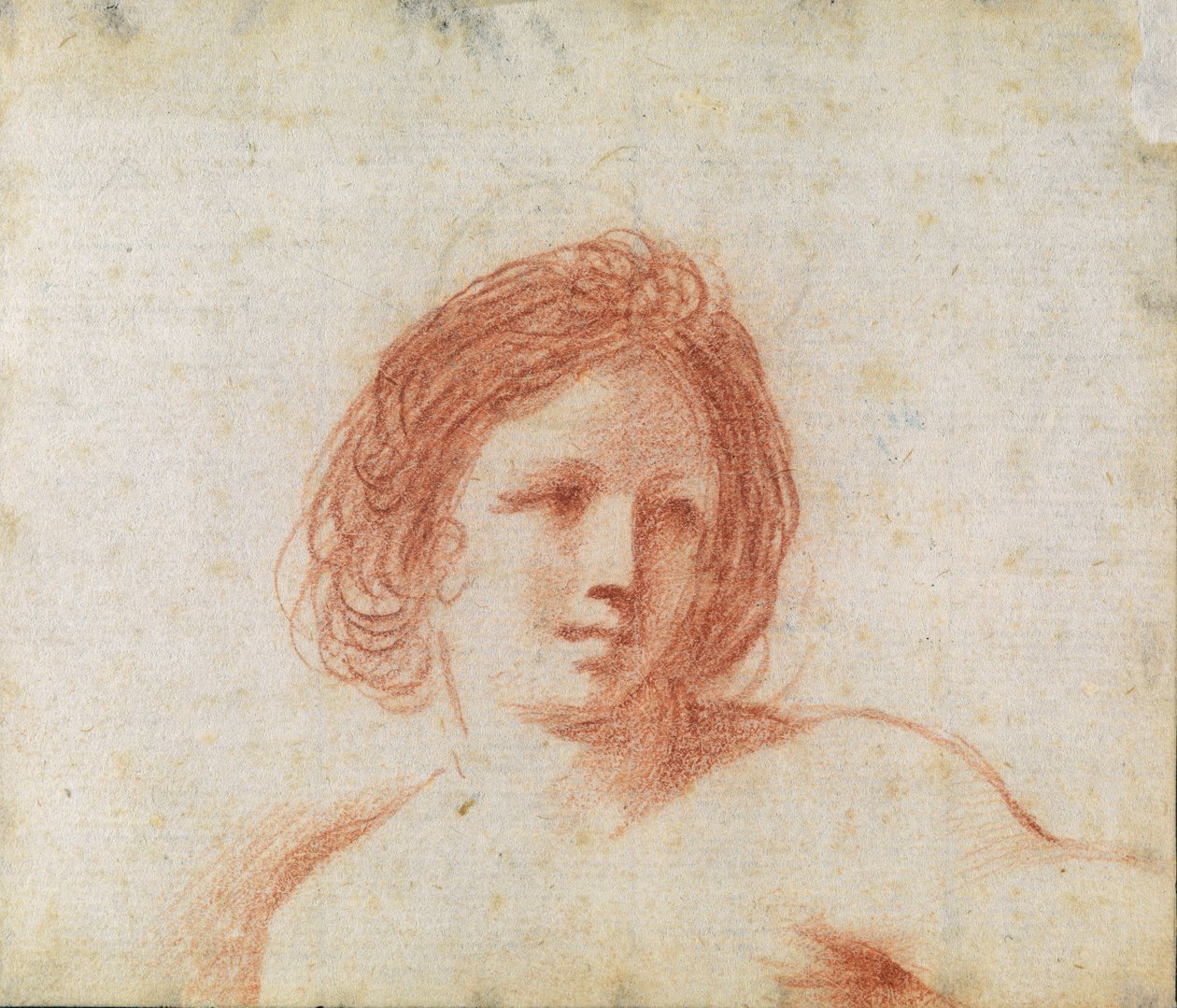 Cabeça de mulher de Cesare Gennari