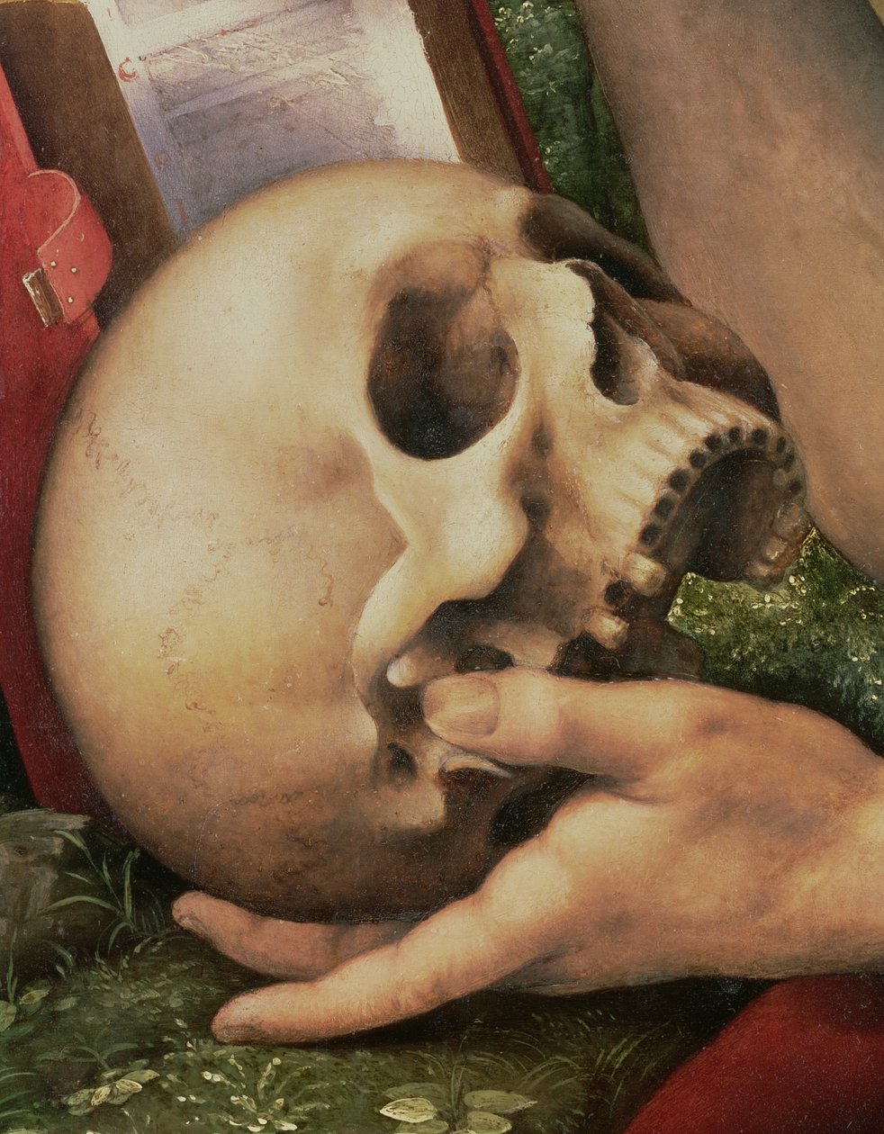 São Jerônimo, detalhe do crânio (detalhe de 112517) de Cesare da Sesto