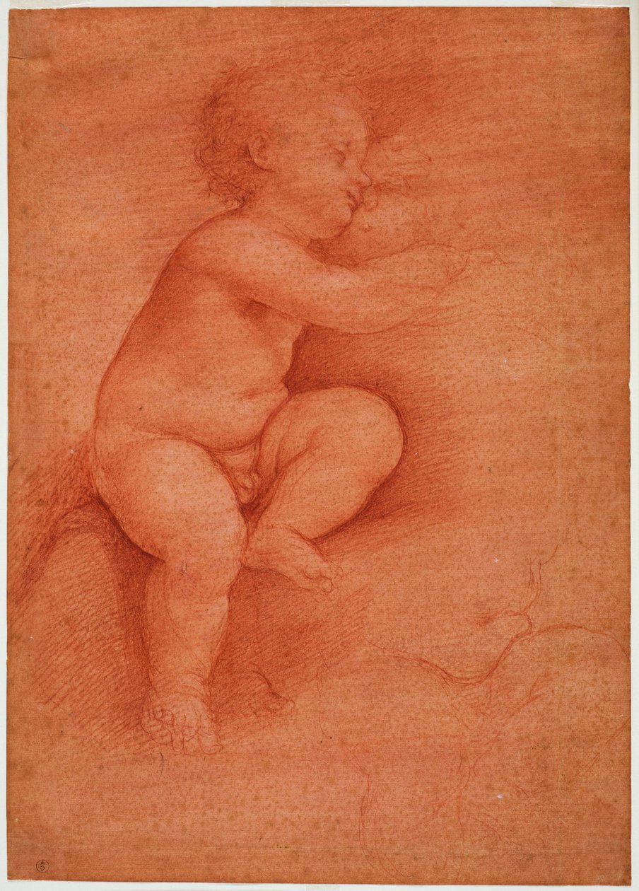 Estudo de putto (Menino Jesus), início do século XVI (sangue em papel preparado vermelho) de Cesare da Sesto
