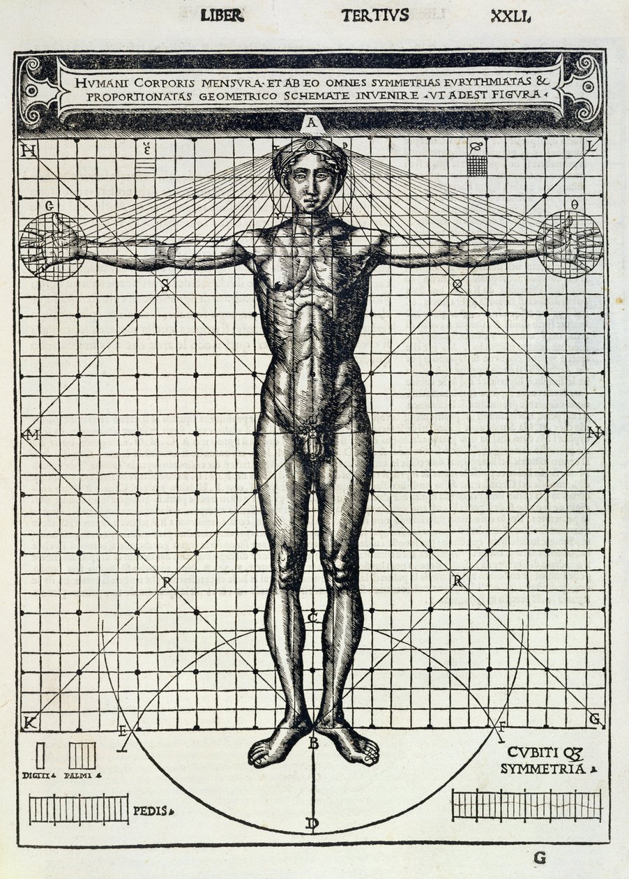 Proporções ideais baseadas no corpo humano, de &39;Di Lucio Vitruvio Pollione da arquitetura aos livros dez&39;, de Gotardo de Ponte Como, 1521 de Cesare di Lorenzo Cesariano