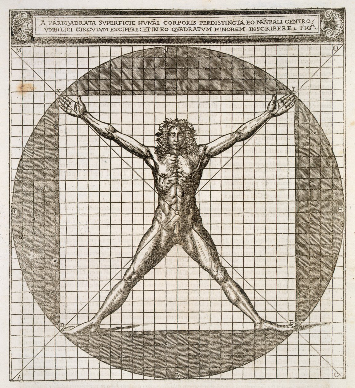 Proporções ideais reveladas basear-se no corpo humano, de "De Architectura Libri Dece traducti do latim em Vulgare affigurati", de Marcus Vitruvius Pollio, traduzido por Cesare Cesariano, publis de Cesare di Lorenzo Cesariano