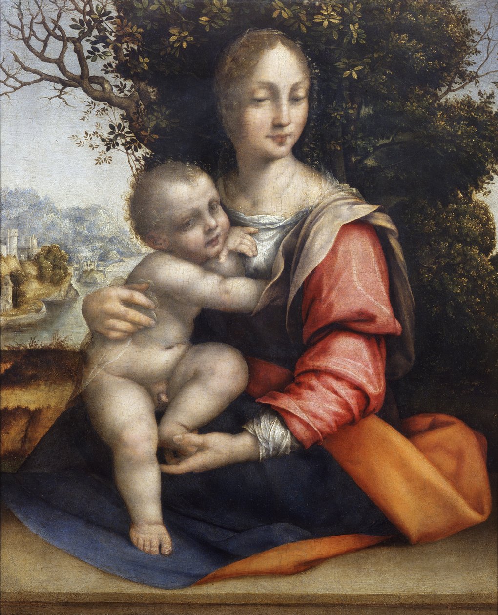 Madonna e Criança (Nossa Senhora da Árvore) de Cesare da Sesto