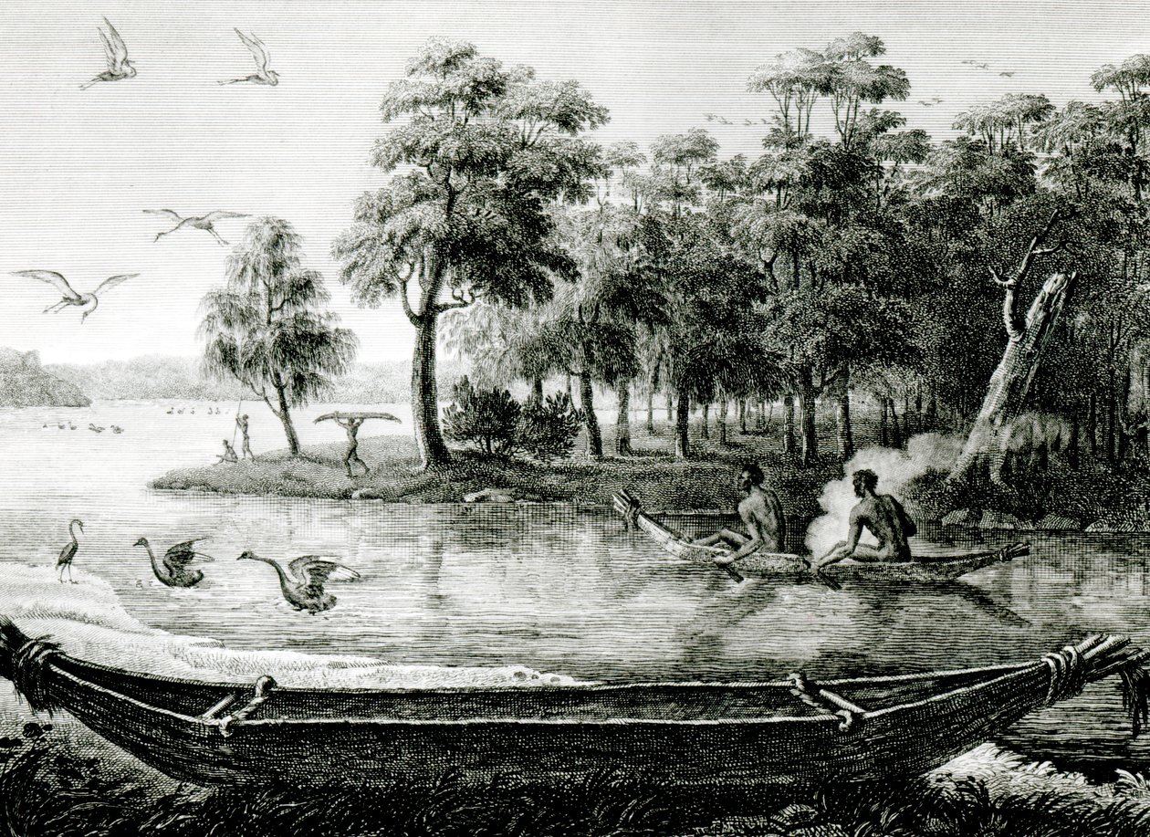 New Holland: Nova Gales do Sul de Charles Alexandre Lesueur