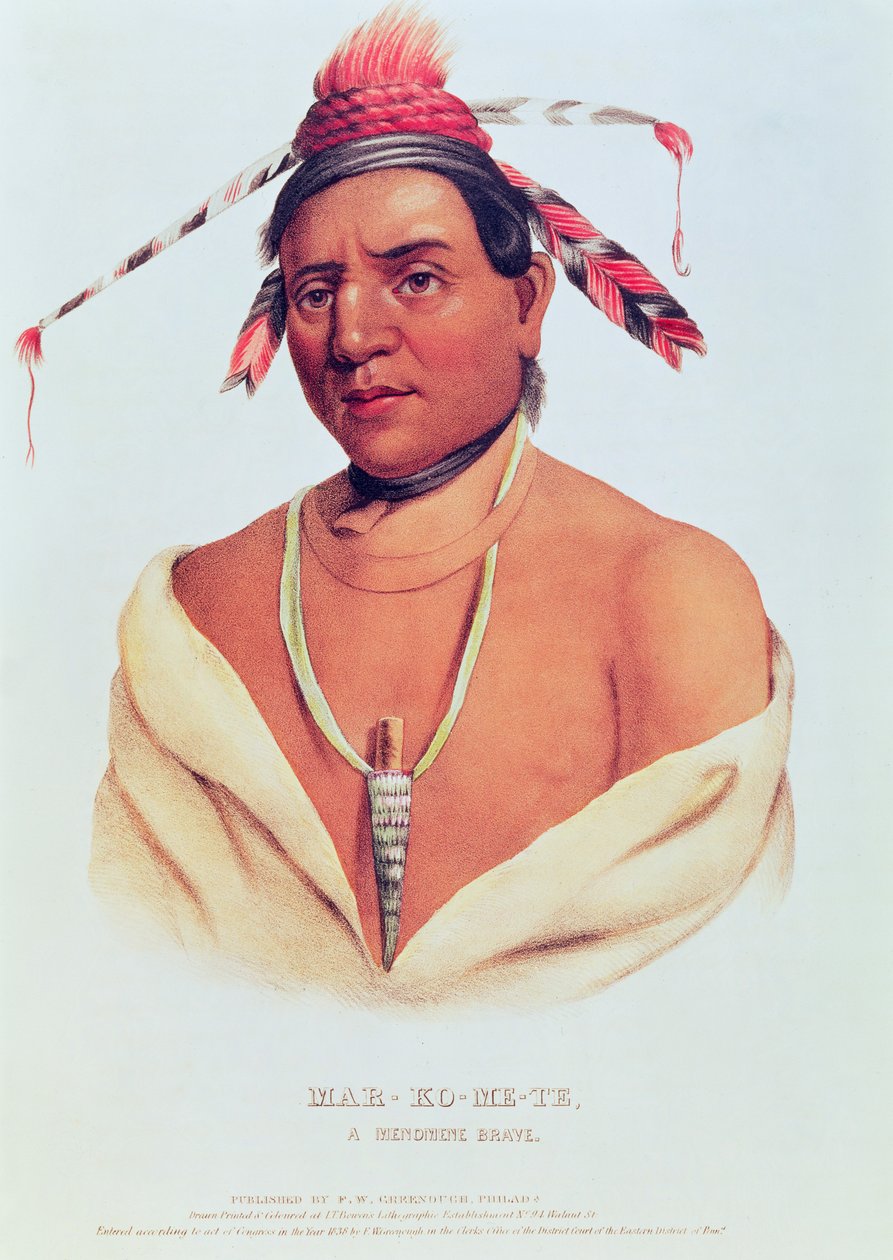 Retrato de Mar-Ko-Me-Te, A Menomene Brave, 1838 de Charles Bird King