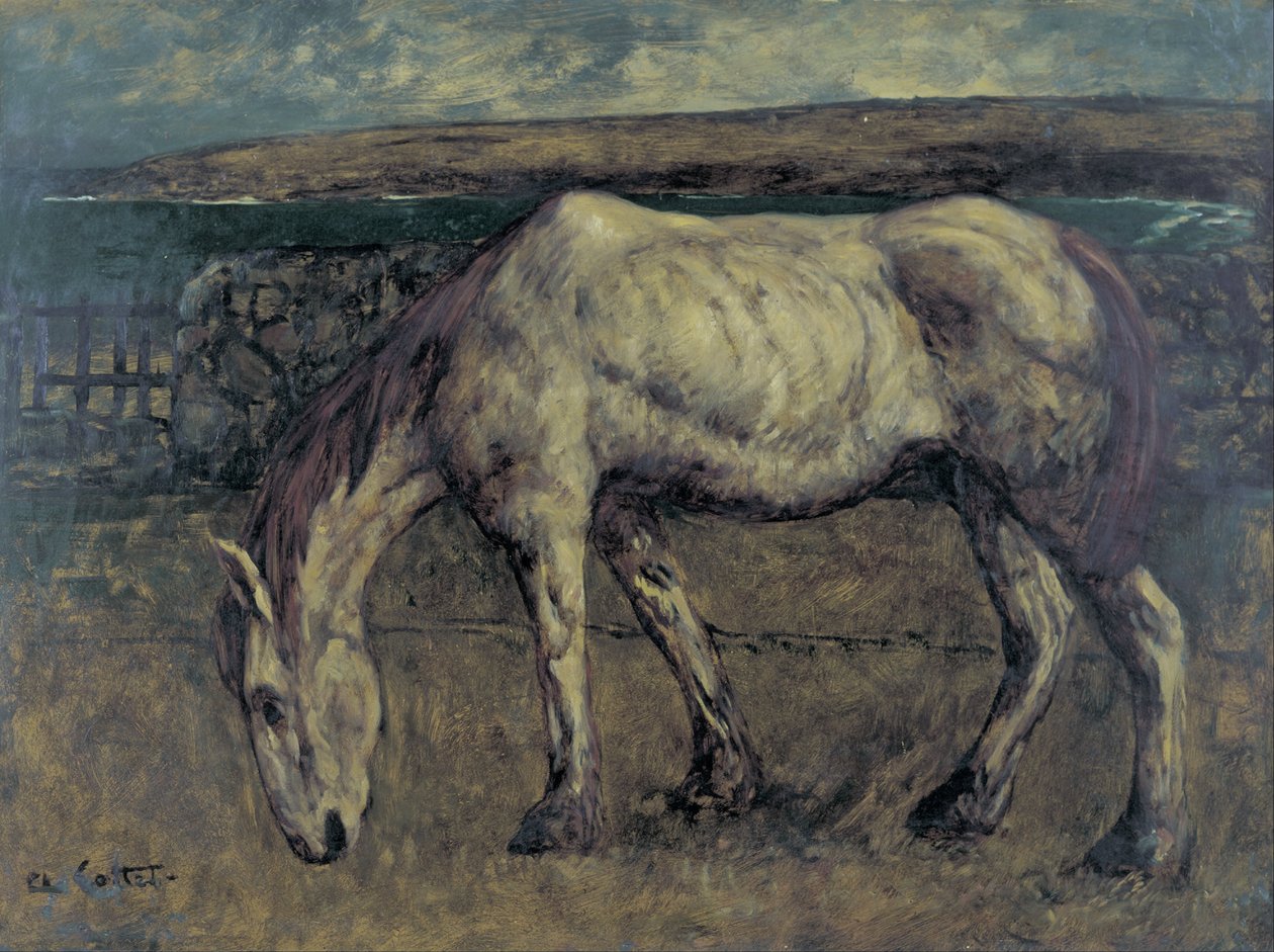 Cavalo velho no deserto de Charles Cottet