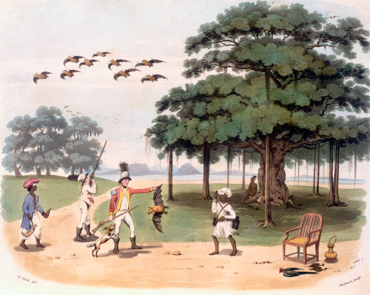 Raposas voadoras em Banyantree, c.1791-98 (cor aquatint) de Charles Emilius Gold