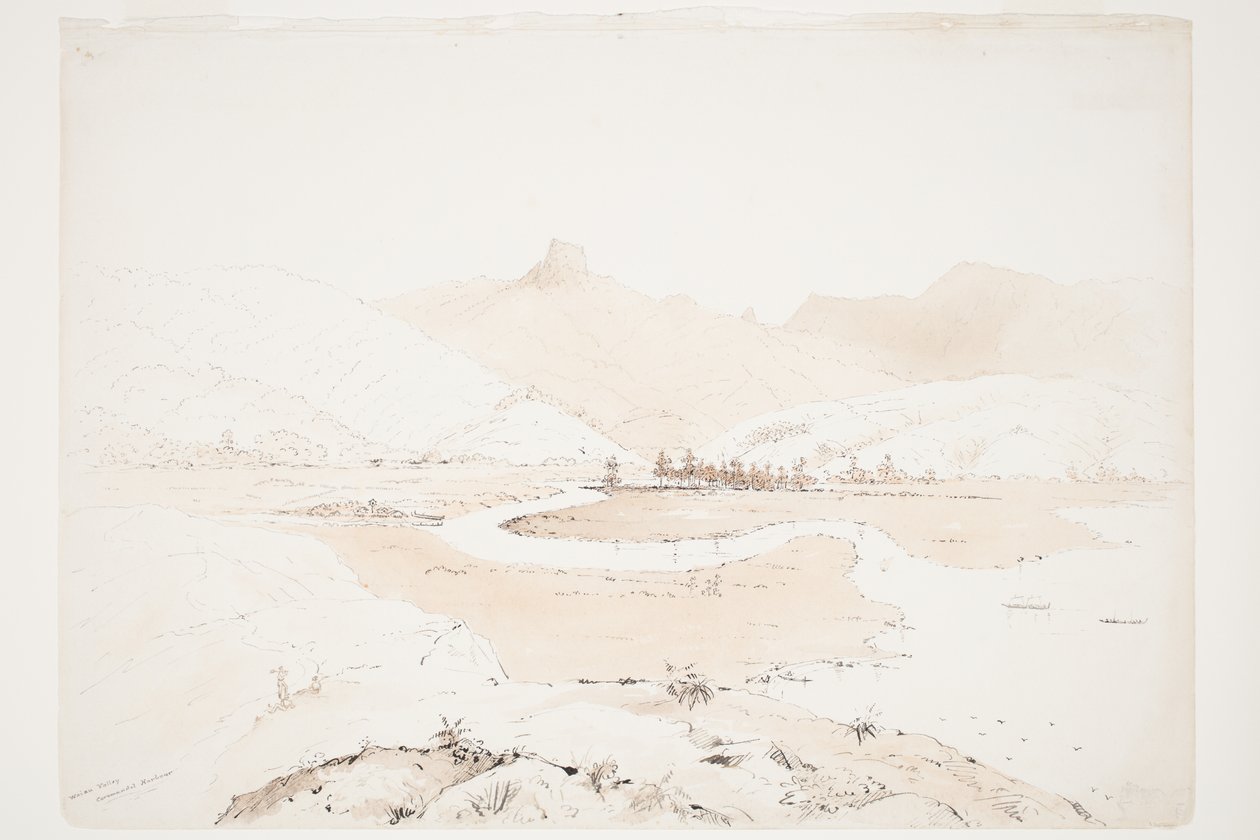 Waiau Valley Coromandel Harbour de Charles Heaphy