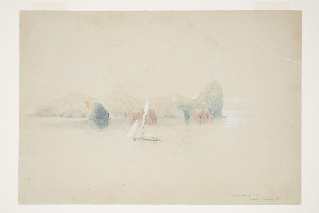 Wellington Head, Great Barrier Id de Charles Heaphy