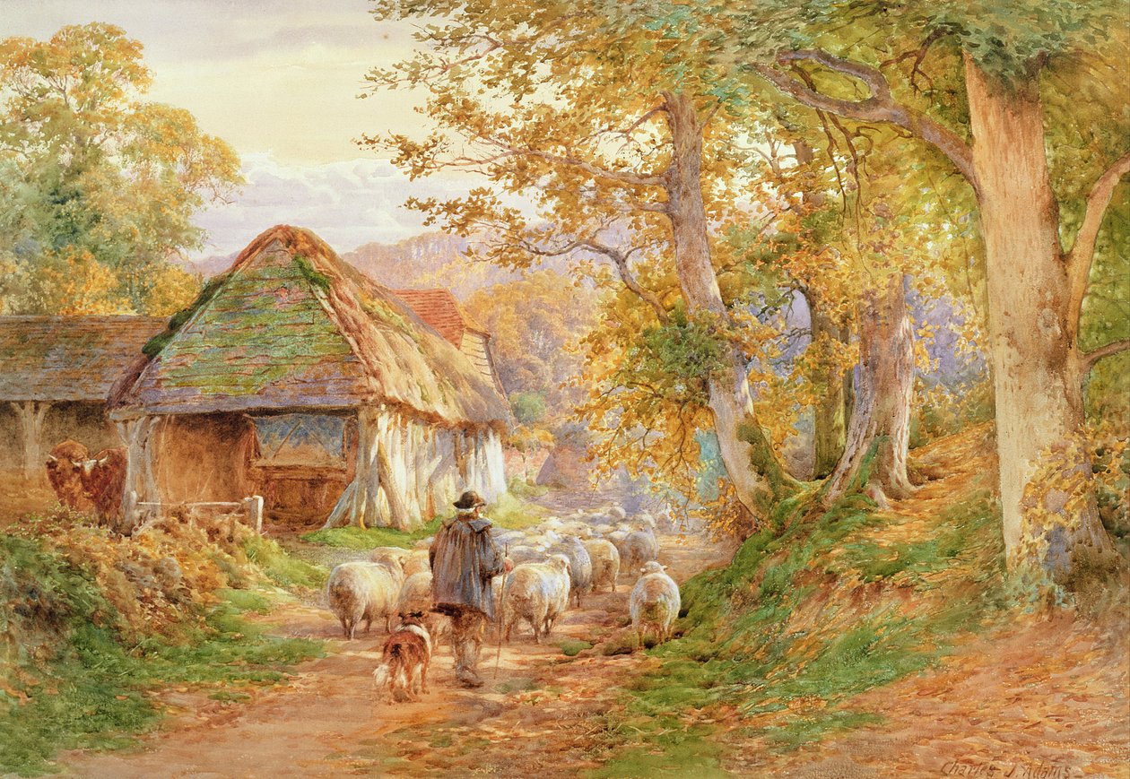 De volta à dobra de Charles James Adams