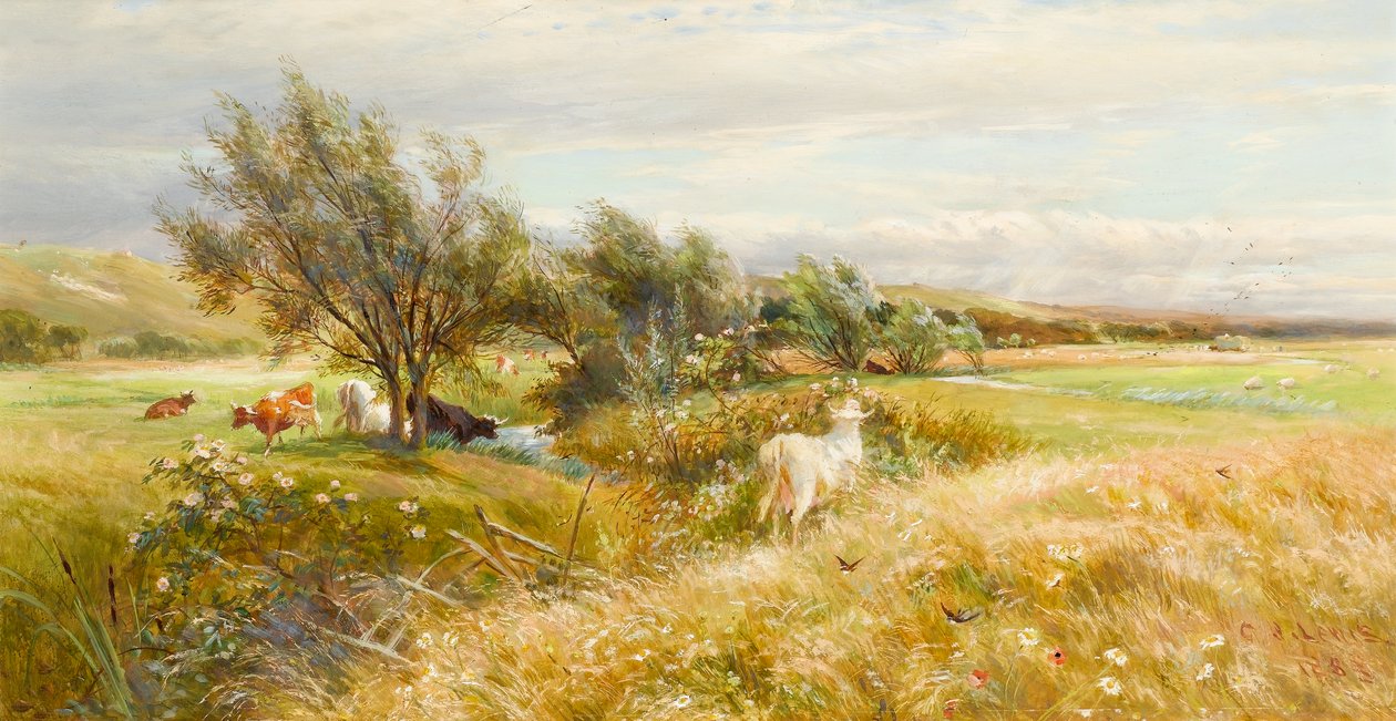 Gado em um prado de água (óleo sobre papel) de Charles James Lewis