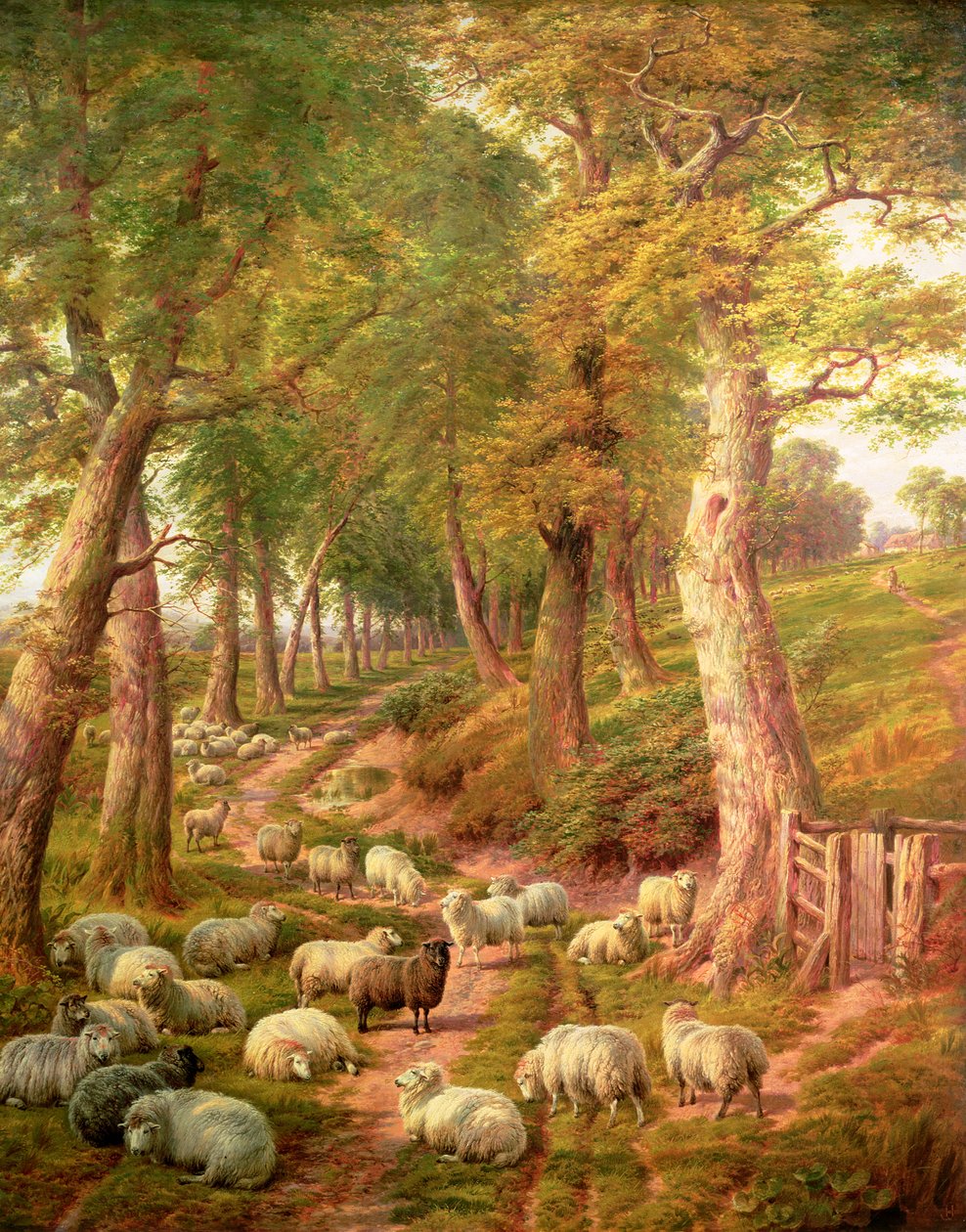Paisagem com ovelhas de Charles Jones