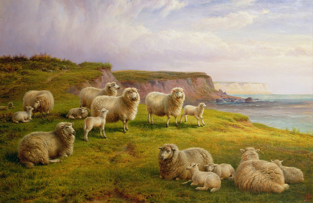 Ovelhas em uma costa de Dorset de Charles Jones