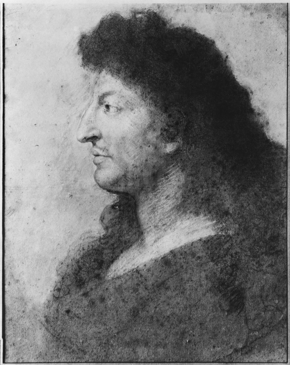 Retrato de Louis XIV de perfil, com o pescoço nu e cabelos longos, c.1678 (pastel e pierre noire em papel bege cinza) (ver também 177108) de Charles Le Brun