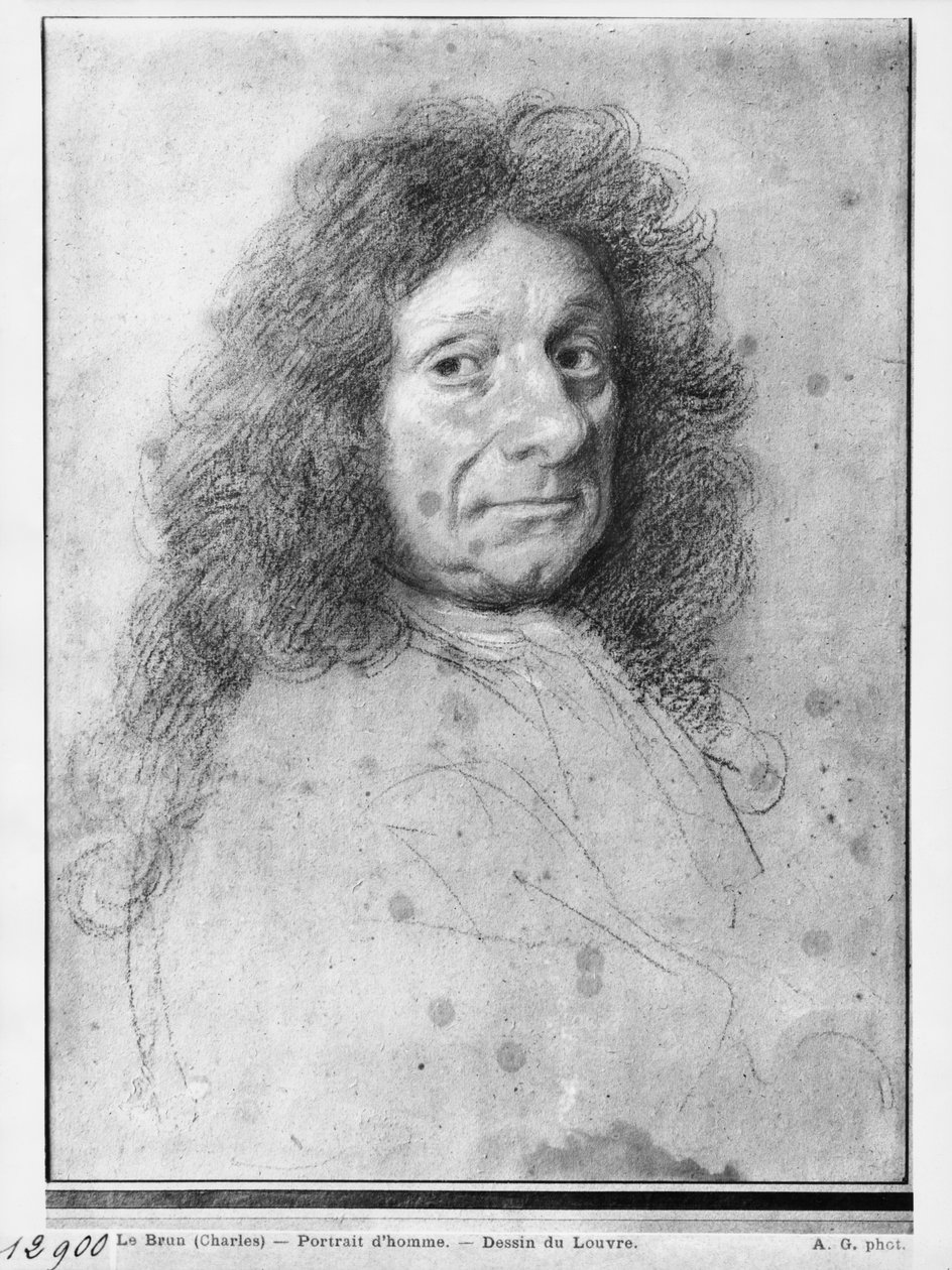 Retrato de um homem, virado para a direita (pastel e carvão sobre papel bege cinza) de Charles Le Brun