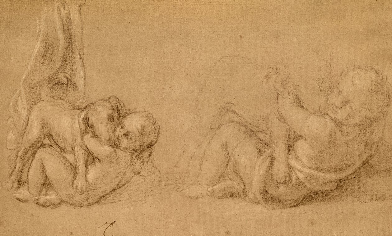 Estudo de uma criança com um cachorro (lápis e giz de cera no papel) de Charles Le Brun
