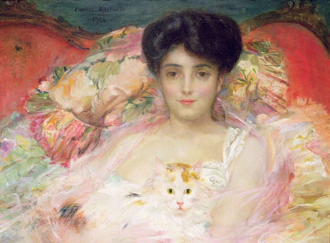 Senhora com um gato, 1904 (óleo) de Charles Massard
