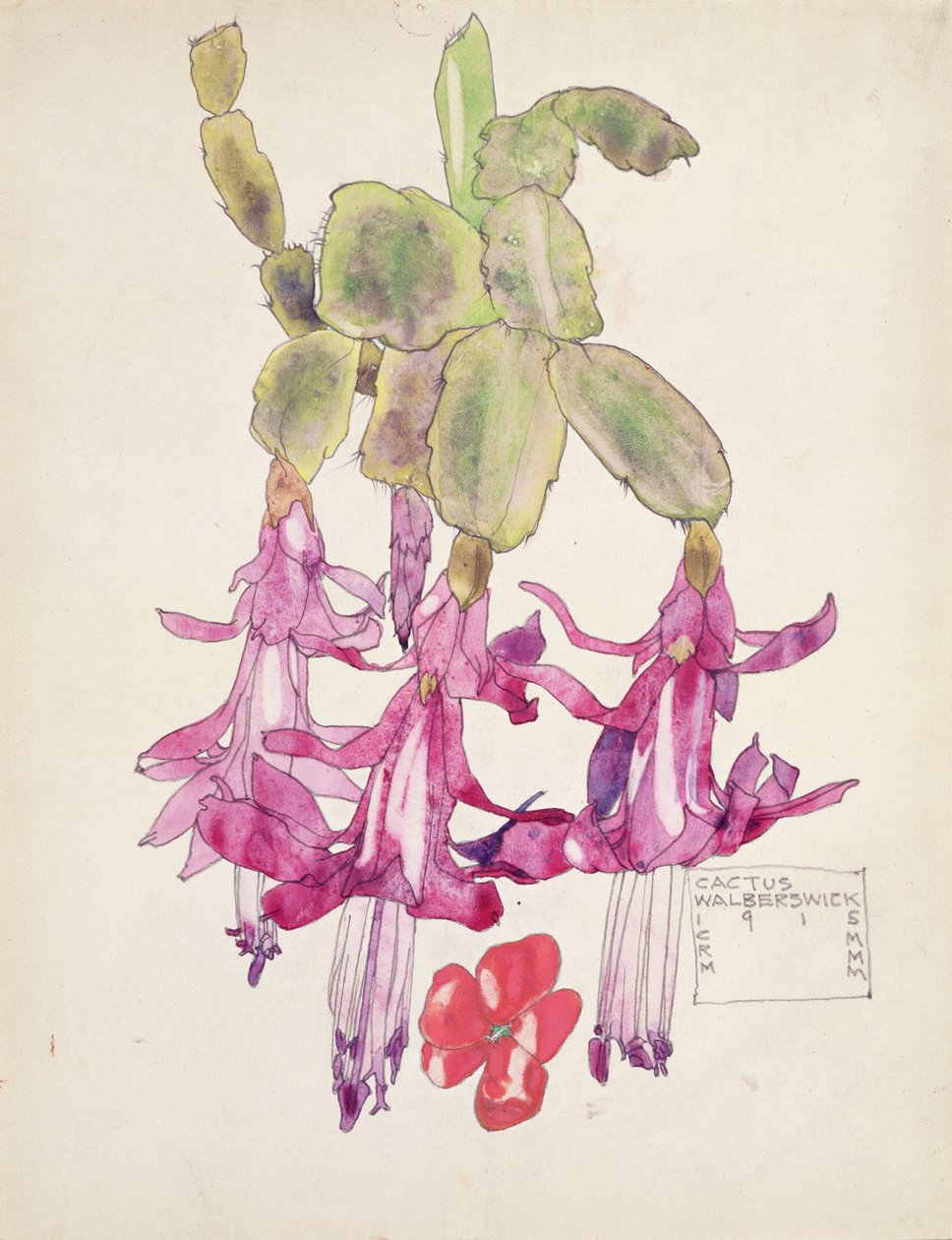 Flor de cacto de Charles Rennie Mackintosh