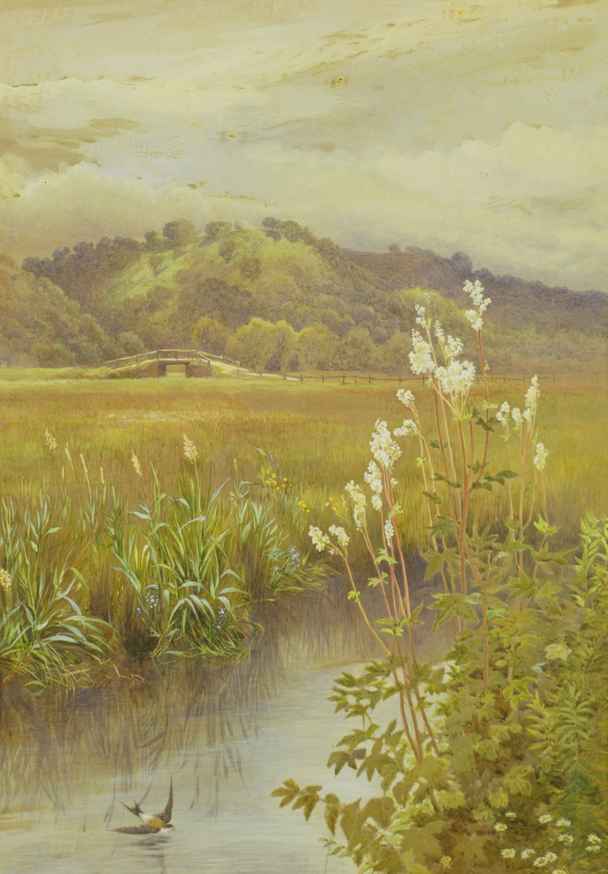 Pelo Rio de Charles Robertson
