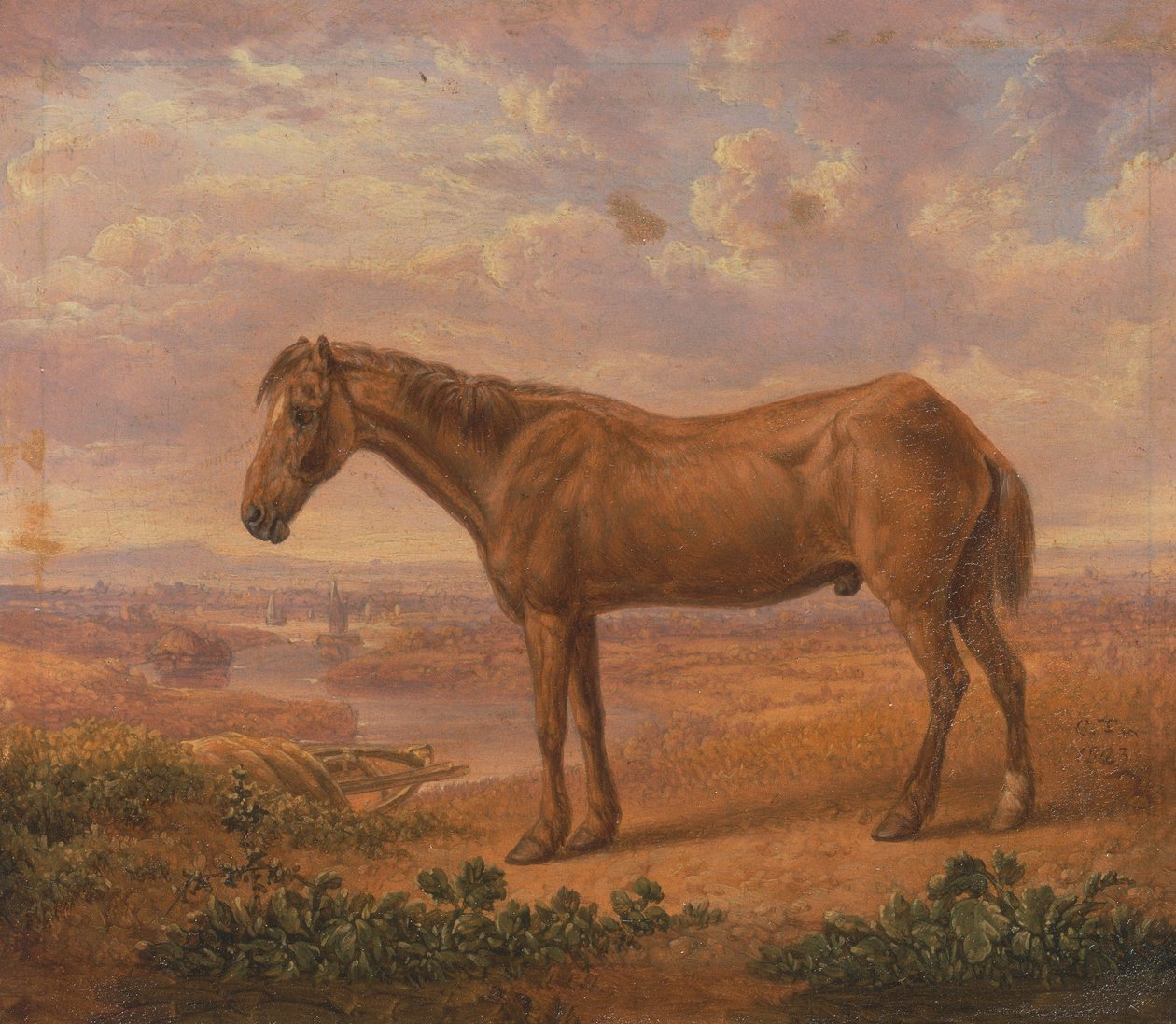 Billy velho, um cavalo de esboço, envelhecido 62 de Charles Towne