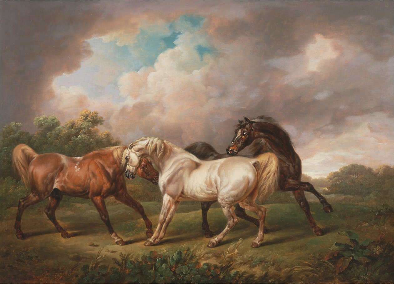 Três cavalos em uma paisagem tempestuosa de Charles Towne