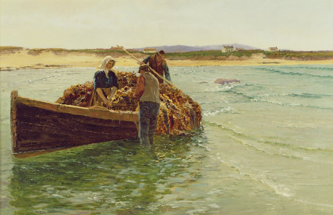 Descarregando Kelp Weed de Charles William Bartlett