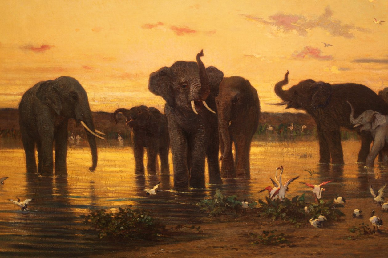 Elefantes africanos de Charles Émile de Tournemine