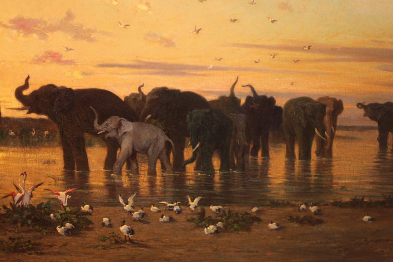 Elefantes africanos de Charles Émile de Tournemine