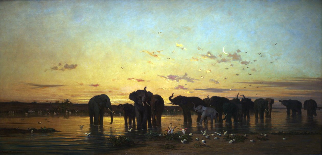 Elefantes da África de Charles Émile de Tournemine