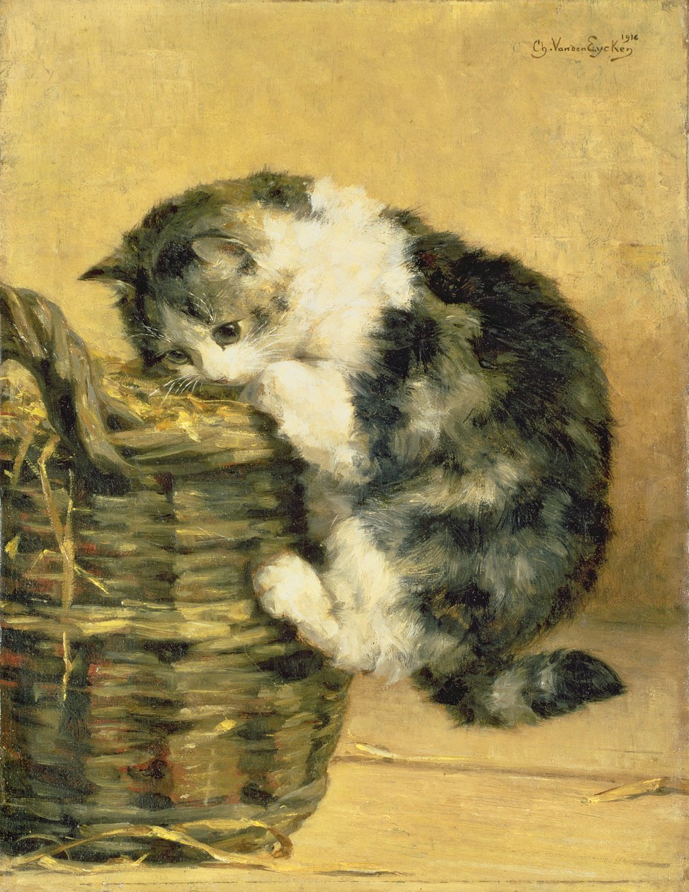 Gato com uma cesta de Charles van den Eycken
