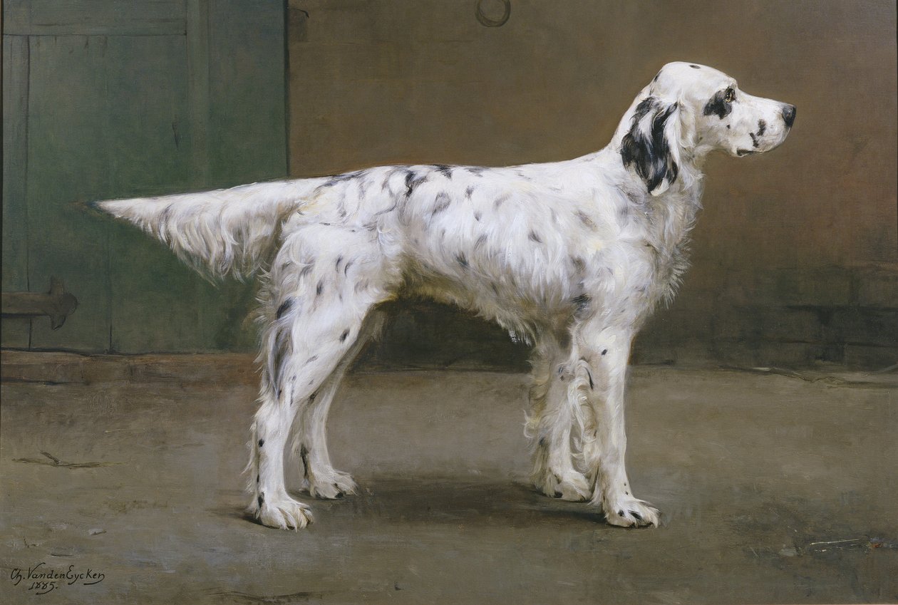Retrato de um cachorro, 1885 (par para 378730) de Charles van den Eycken