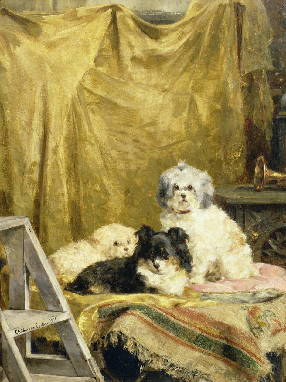 Três cachorros de Charles van den Eycken