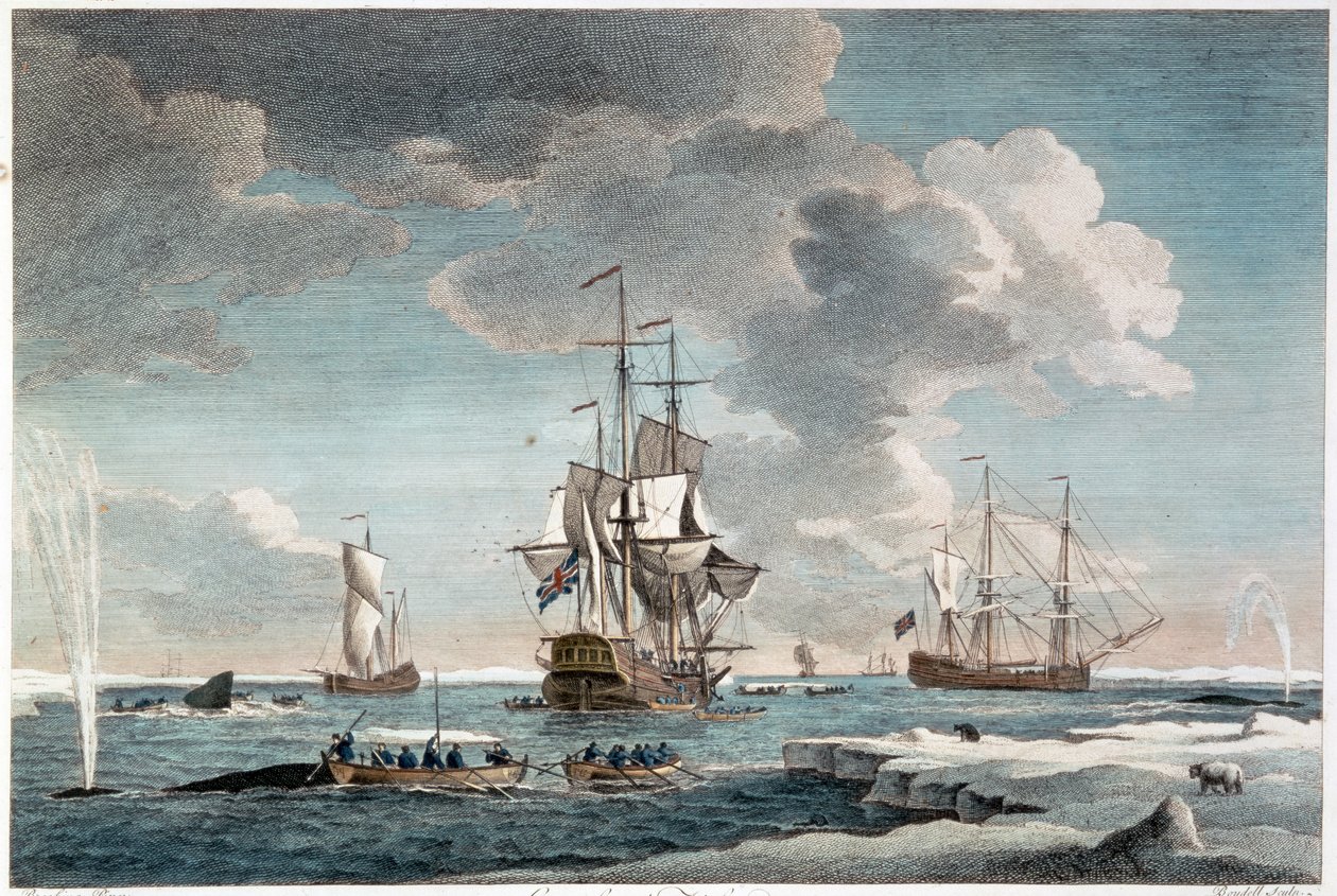 Pesca na Gronelândia, gravura de John Boydell (1719-1804) 1754 (gravura a cores) de Charles (after) Brooking