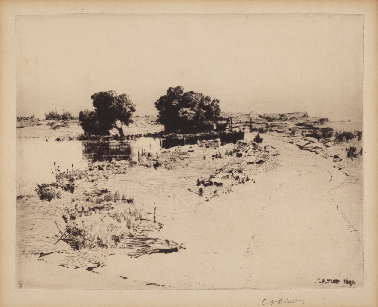 Cape Ann Willows de Charles A. Platt