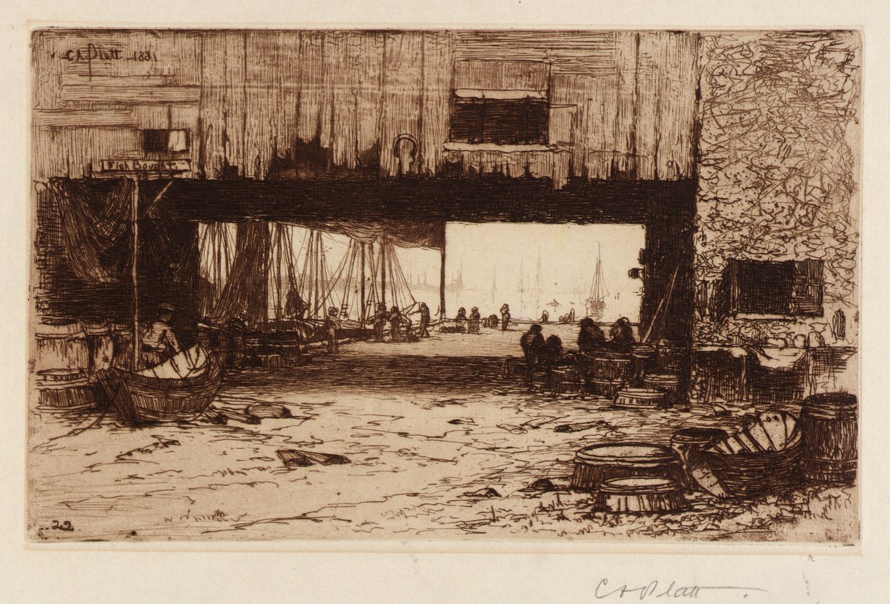 Casas de peixe--Interior de Charles A. Platt
