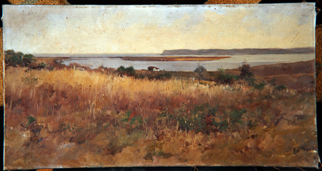 Point Loma de Logan Heights de Charles Arthur Fries