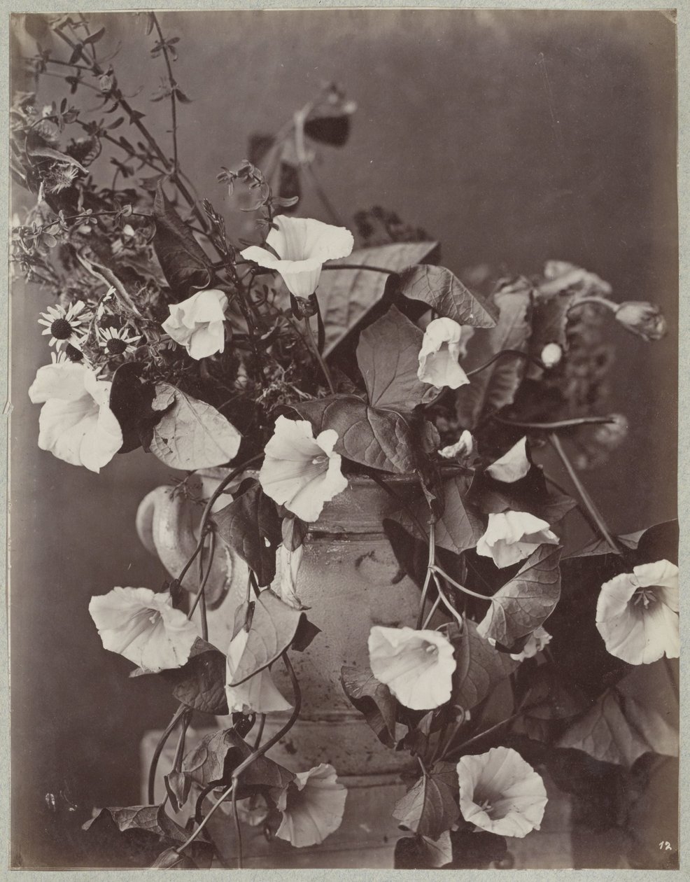 Estudo de flores com vaso de colônia de Charles Aubry (manner of)