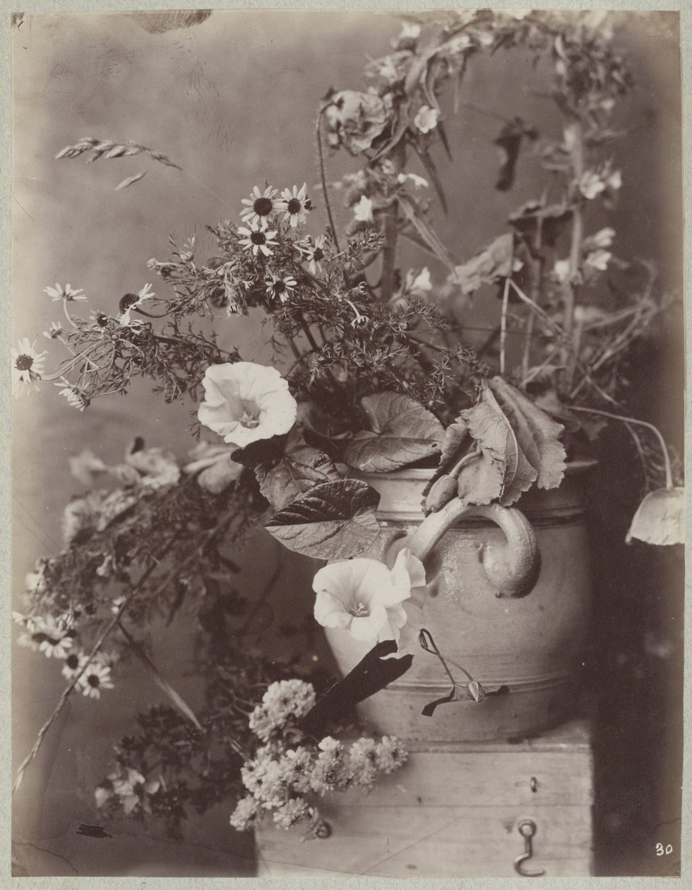 Estudo de flores com vaso de colônia na caixa de Charles Aubry (manner of)