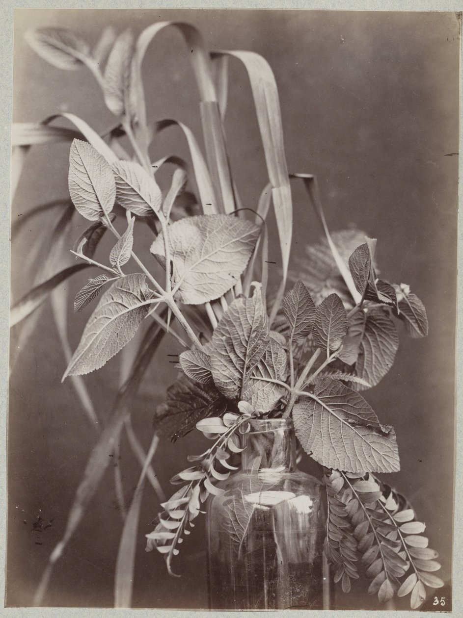 Estudo de flores com garrafa de vidro de Charles Aubry (manner of)