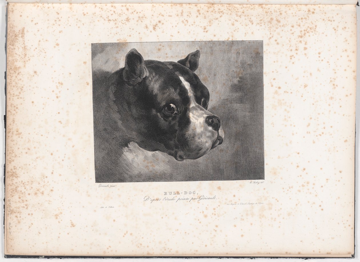 Bull-Dog de Charles Aubry