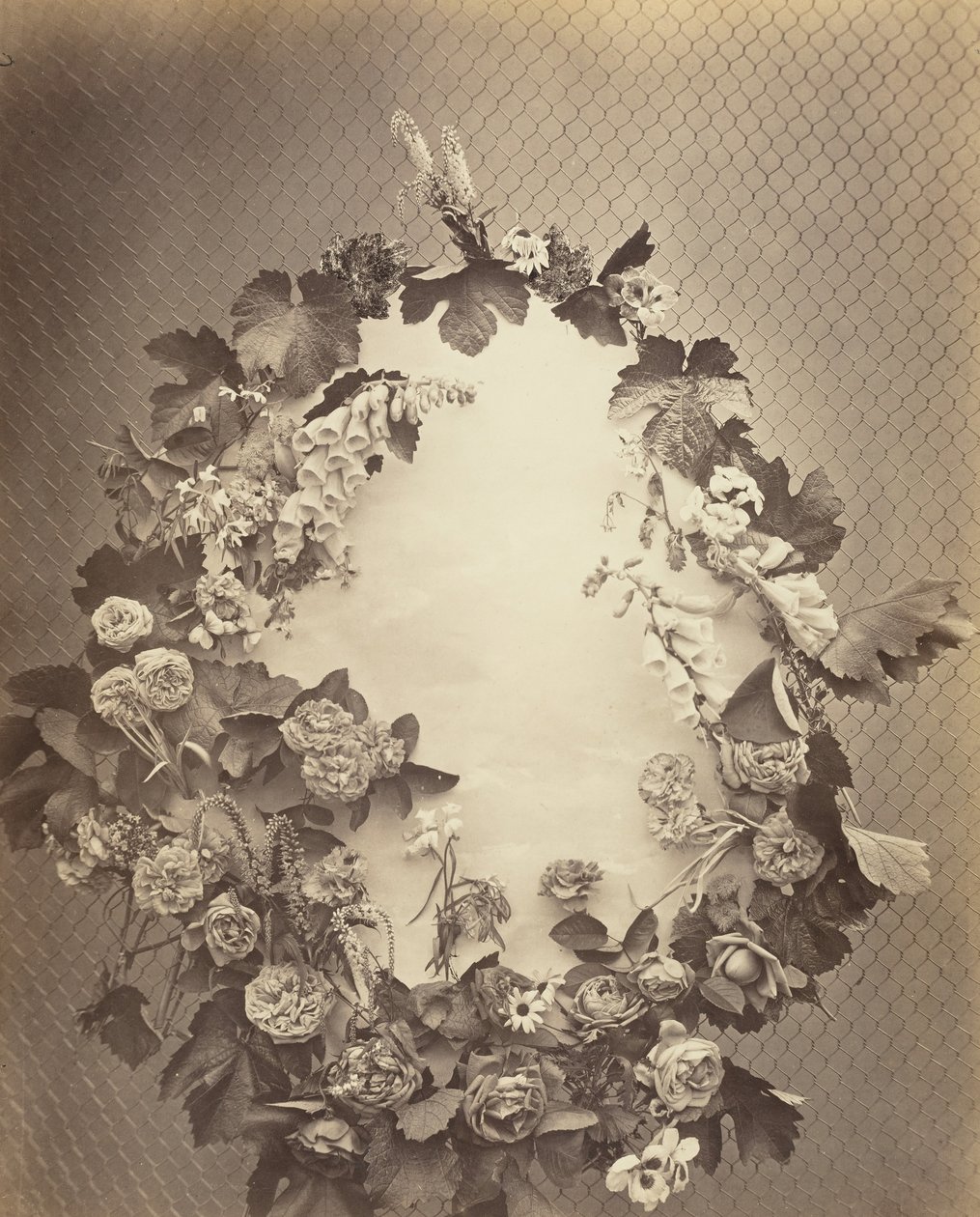 Sem título [coroa], c. 1864. de Charles Aubry