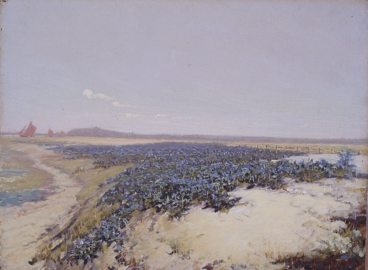 Dunas cobertas de flores (óleo sobre tela) de Charles Augustus Lasar