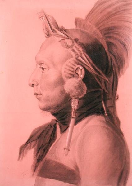 Retrato de um índio, possivelmente Shahaka, Mandan Chief (lápis e carvão vegetal sobre papel colorido) de Charles Balthazar Julien Févret de Saint Mémin