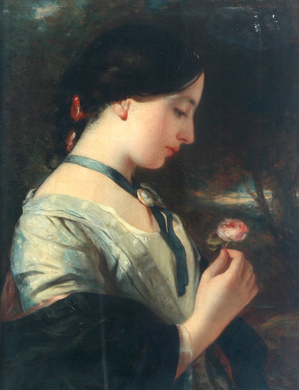 Uma rosa inglesa de Charles Baxter