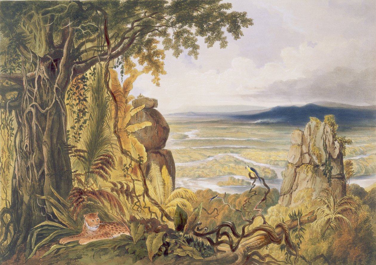 A rocha de Comuti ou de Taquiare, no rio Essequibo, de “vistas no interior de Guiana”, gravada pelo bar de George Barnard (fl.1832-90). por Ackermann, 1840 de Charles Bentley