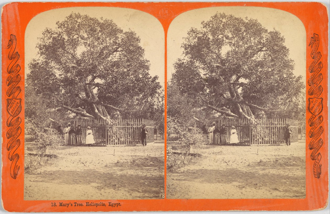 Árvore de Maria. Heliópolis, Egito de Charles Bierstadt
