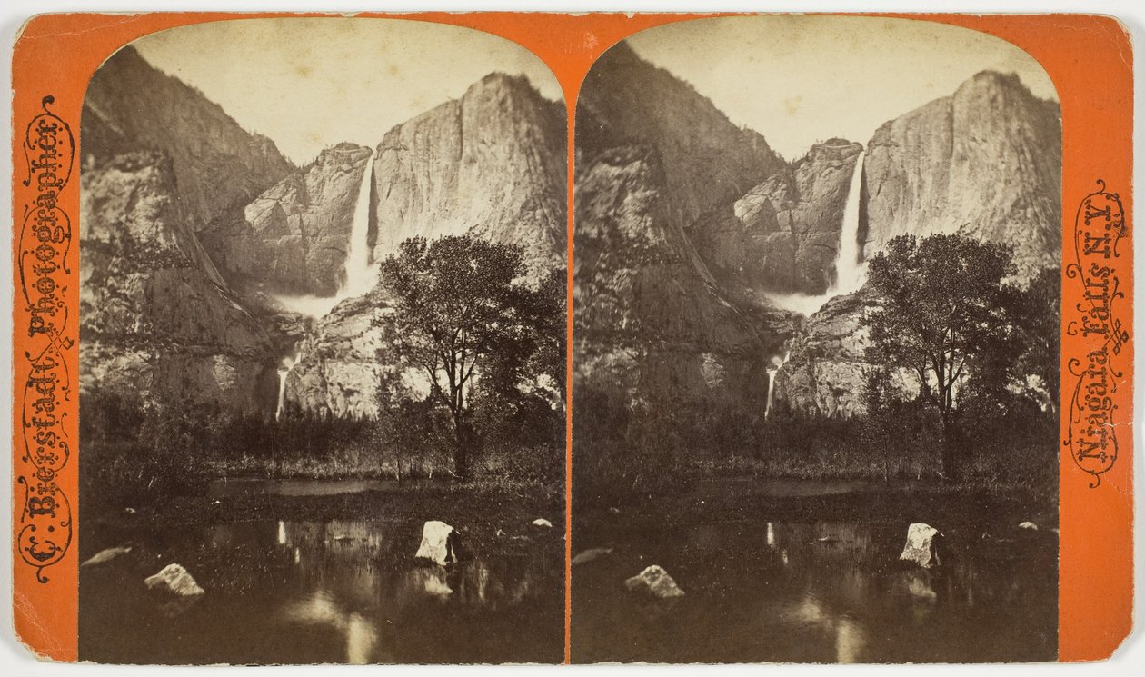 Sem título, 1863-1903 de Charles Bierstadt