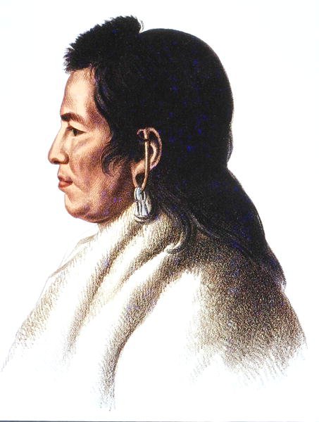 Shahaka (Branco Grande) chefe do povo Mandan (cor litho) de Charles Bird (after) King