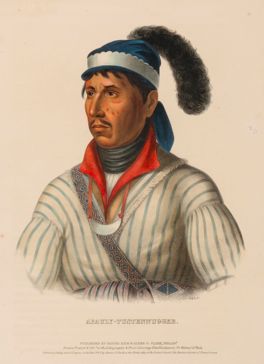 APAULY-TUSTENNUGGEE, de History of the Indian Tribes of North America (História das tribos indígenas da América do Norte) de Charles Bird King